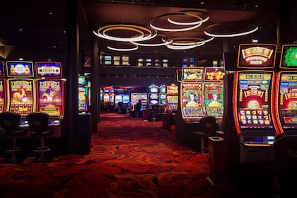 Bingo Oasis Pilar