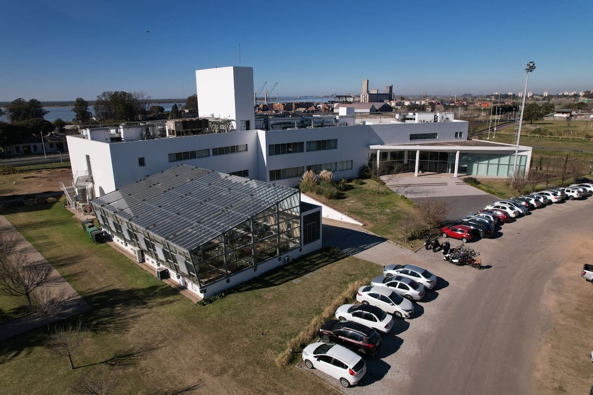 Bioceres SA se desvinculó del holding internacional para reconfigurar su perímetro contable para preservar su estatus en Wall Street