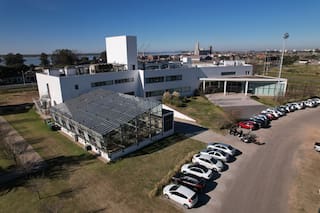 Una denuncia penal acusa a la cúpula de una empresa del agro de presunto lavado de activos