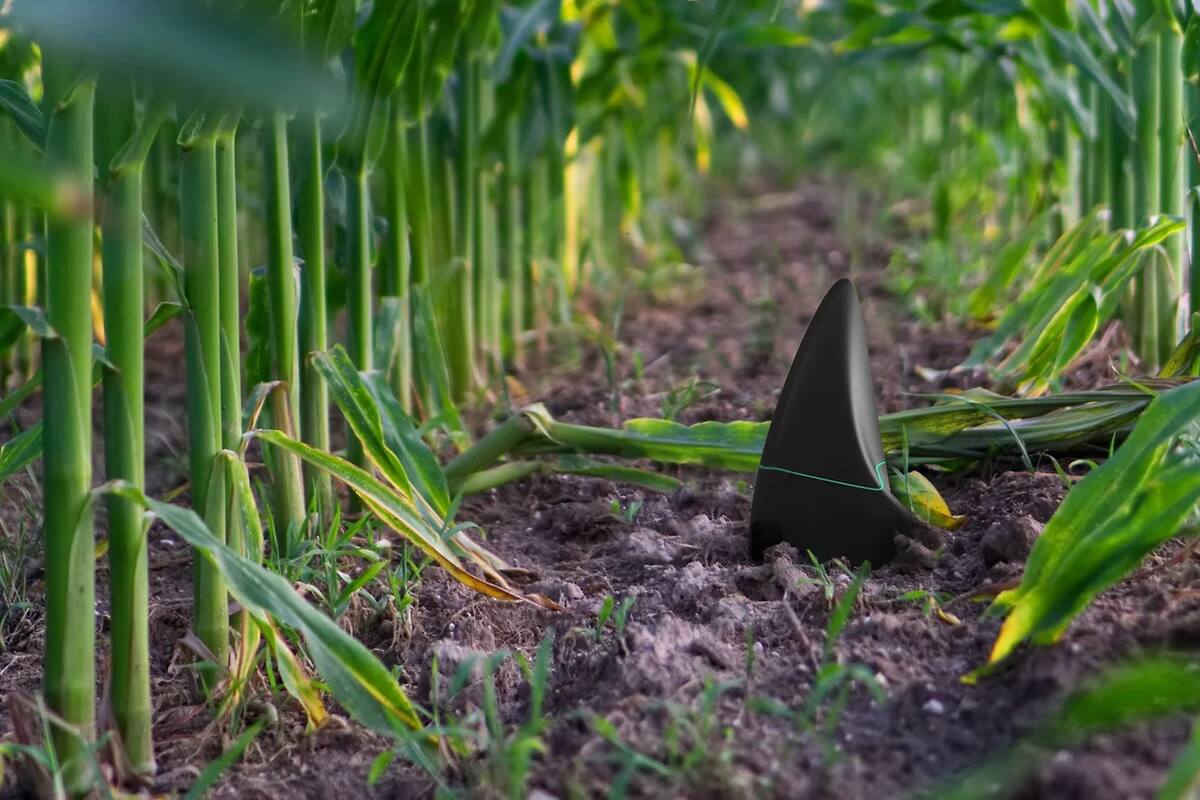 Bioo presentó un sensor que se inserta en la tierra y genera su propia energía para no depender de baterías o paneles solares que terminen contaminando el ecosistema