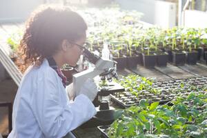 Biotecnología .Cuál es el destino del nuevo semillero de investigadores argentinos que mira al mercado externos