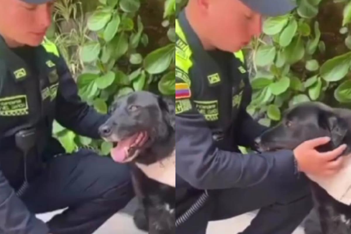 Blacky vive en las instalaciones de la Policía Ambiental (Foto: Instagram @proteccionponal)