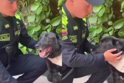 Blacky vive en las instalaciones de la Policía Ambiental (Foto: Instagram @proteccionponal)