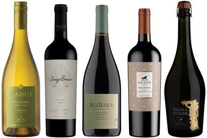 Blancos, tintos y burbujas para celebrar