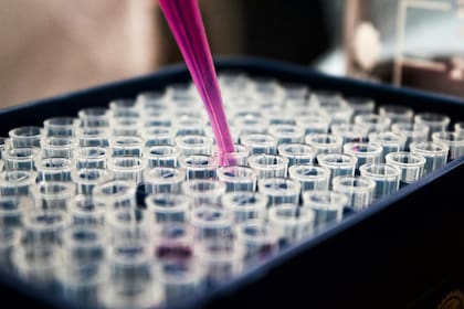 Bloquean iniciativa de ley sobre fertilización in vitro.