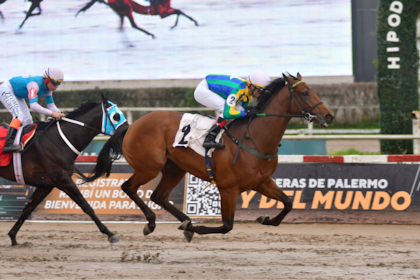 Blue Caviar lleva tres primeros puestos seguidos, el último delante del encaretado Uncle Moi, al que enfrentará en el Nacional por tercera vez.