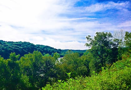 Blue Ridge Parkway, Asheville, Carolina del Norte