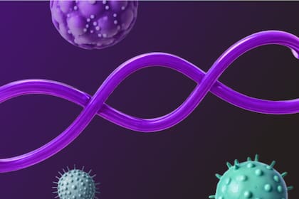 BO-112, la molécula que engaña al cáncer