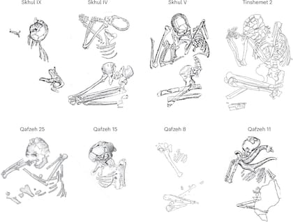 Boceto que enseña cómo fueron enterrados los cuerpos en posición fetal, un símbolo funerario que compartían el Homo sapiens y los neandertales