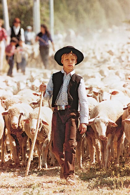 Pierre durante una Fiesta de la Trashumancia, desfile de más de 3000 ovejas en la ciudad.