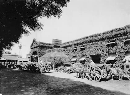 Bodega Robinson
