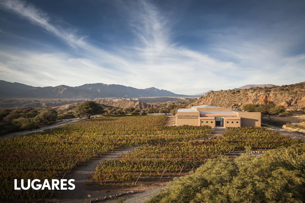 Bodega Colomé.