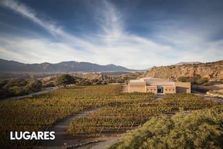 Es el viñedo más alto del país y propone una experiencia única de gastronomía y arte