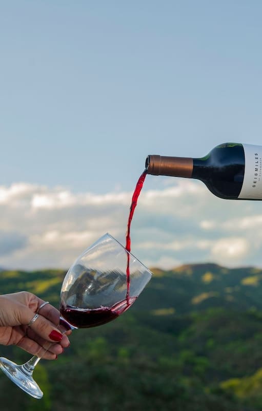 Bodega Veralma