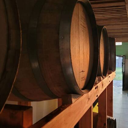 Bodega de barricas propia de Salmón