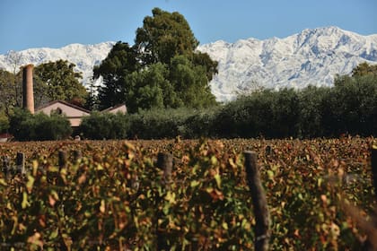 Bodega Lagarde, N°5 en la lista