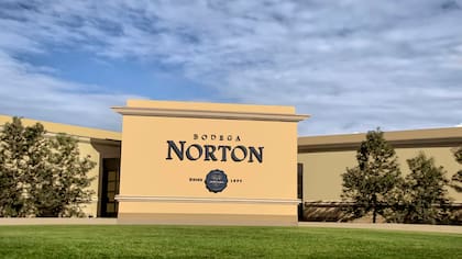 Bodega Norton se presentó en concurso de acreedores en octubre del año pasado