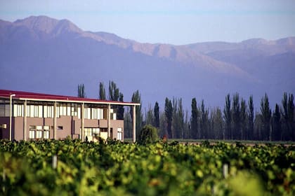 Bodega Tapiz, en Mendoza