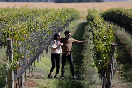 Bodega Trapiche Costa & Pampa en Chapadmalal