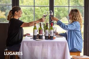 Bodega Viarago tiene un muy buen lugar para degustaciones.