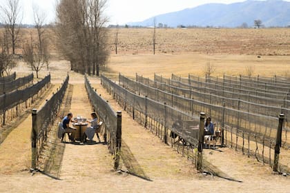 Bodega Vista Grande, en el Valle de Calamuchita, es una de las más evolucionadas de la zona. Ofrece almuerzos con degustación y hasta la posibilidad de hacer un picnic en medio de los viñedos