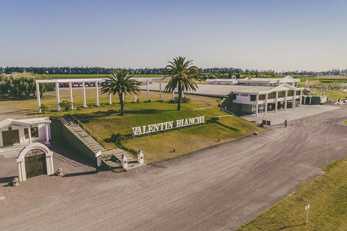 Bodegas Bianchi contrató a Southern Cone Partners y EY como asesores financieros