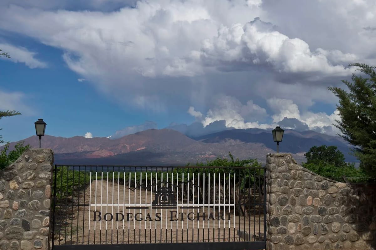 Bodegas Etchart pasó a manos de Molinos Río de la Plata