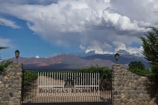 Molinos Río de la Plata compró una conocida bodega salteña y se expande en el negocio del vino
