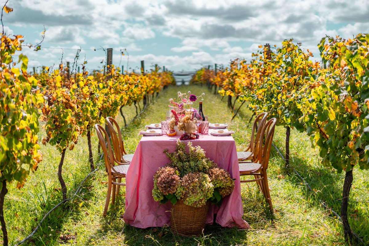 Bodegas que se pueden visitar en la provincia de Buenos Aires