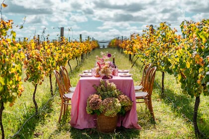 Bodegas que se pueden visitar en la provincia de Buenos Aires