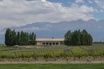 Bodegas Salentein, en Valle de Uco, destacada como bodega de 2026 por Atkin