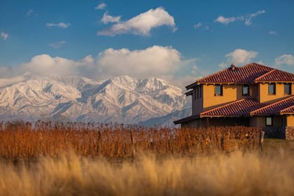 Bodegas, viñedos y gastronomía con vista a la cordillera, en Mendoza