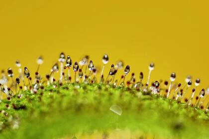 Bogotá, Colombia. Edición fotográfica de Jesica Rizzo