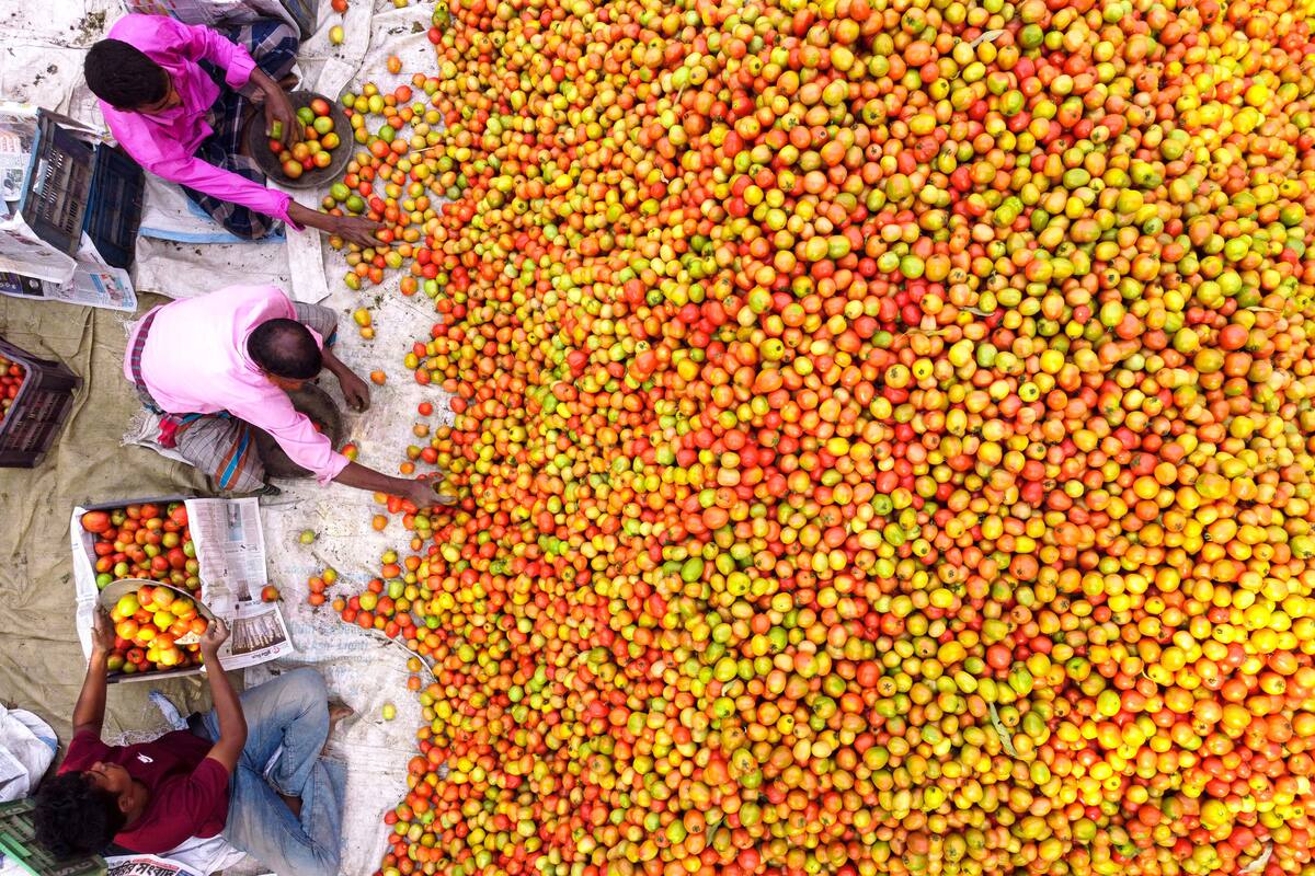 Bogura, Bangladesh. Edición fotográfica de Jesica Rizzo
