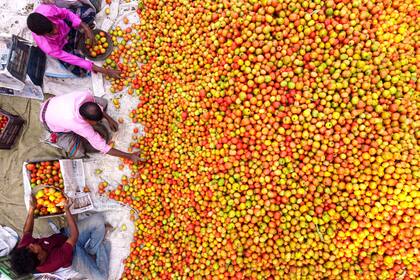 Bogura, Bangladesh. Edición fotográfica de Jesica Rizzo