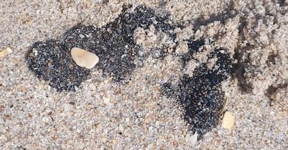Bolas de alquitrán en las playas de Florida (X: @FLFR411)