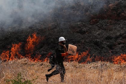 Bolivia declara emergencia nacional por incendios forestales. Se teme propagación de los fuegos