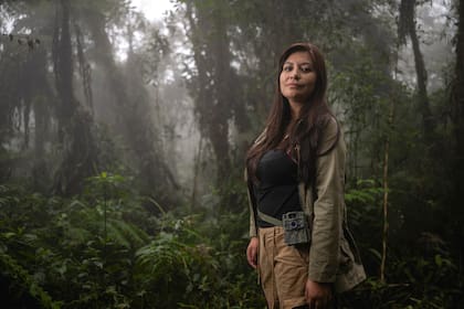 Bolivia, September 2, 2026 – National Geographic Explorer Paola Nogales explores the high-mountain moist forest of the Yungas region in search of signs of leopardus tilcayo and suitable locations to install camera traps.