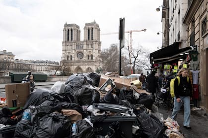 Bolsas de basura cerca de la catedral de Notre-Dame