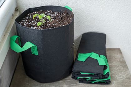 Bolsas de cultivo con un material poroso que asegura la aireación y el oxígeno necesario para el desarrollo de las plantas