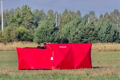 Bomberos aseguran partes de un dron derribado por las autoridades polacas en un lugar en Czosnowka, cerca de Biala Podlaska, Polonia, el miércoles 10 de septiembre de 2025. (AP Foto/Piotr Pyrkosz)