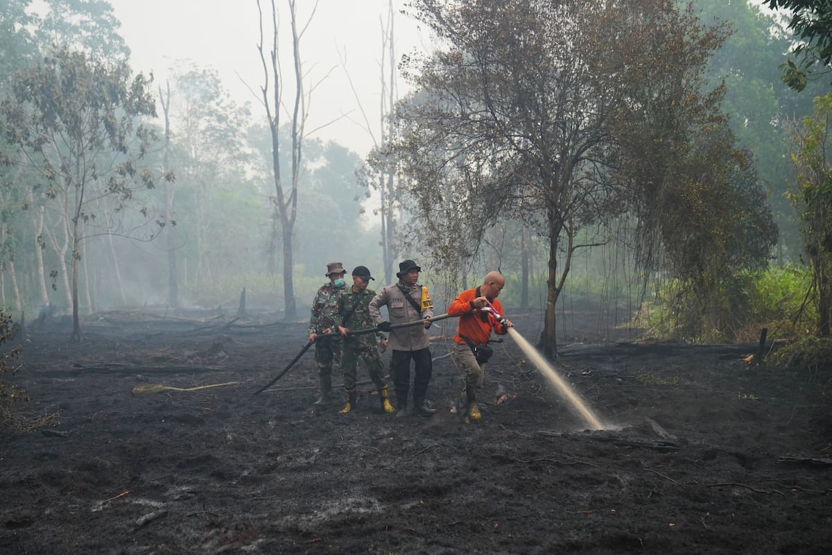 Bomberos rocían agua para apagar incendios en el bosque de Kubu Raya, Indonesia, el 12 de septiembre
