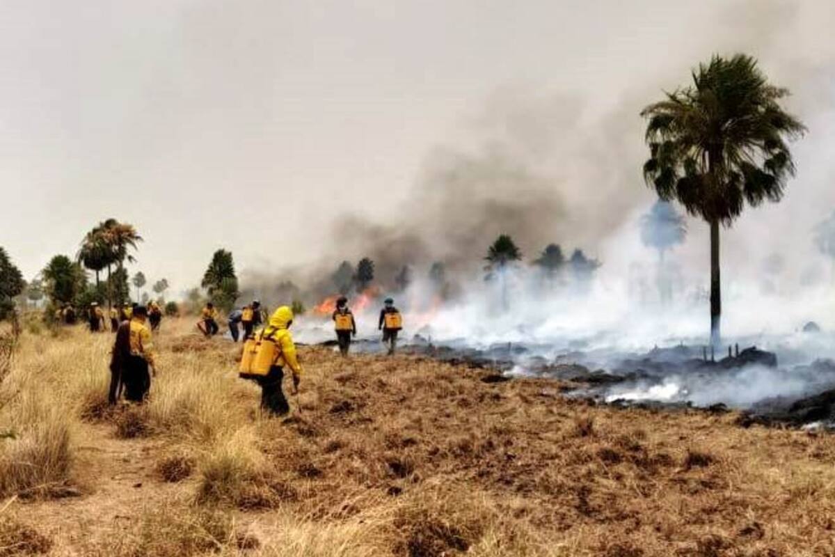 Bomberos trabajan para extinguir el fuego en la reserva Guaycolec