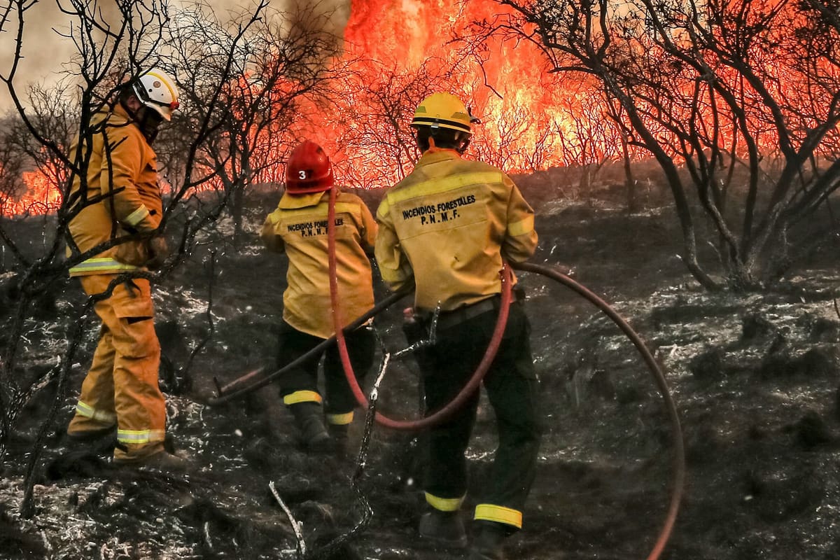 Bomberos y aviones hidrantes, las claves del comabte