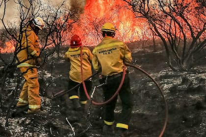 Bomberos y aviones hidrantes, las claves del comabte