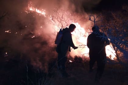 Bomberos y vecinos ayudaron a controlar el fuego del campo de Roque