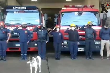 Bombi fue definida como una "compañera fiel" por el jefe de los bomberos de San Isidro, Daniel Gallego