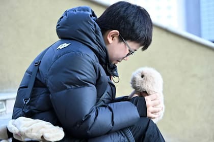 BooBoo, la mascota robot que marca tendencia entre los jóvenes en China