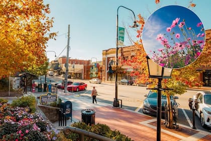 Boone es una ciudad de montaña con estaciones marcadas, que varían a lo largo del año (IG: exploreboone)
