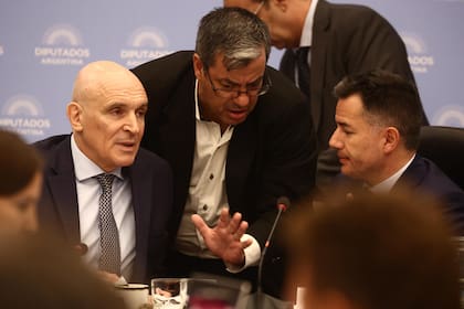 Bornoroni es presidente de la Comisión de Legislación General